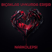 Bıçaklar Uykumda Erişir