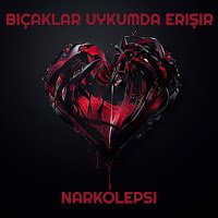 Bıçaklar Uykumda Erişir