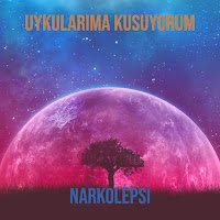 Uykularıma Kusuyorum