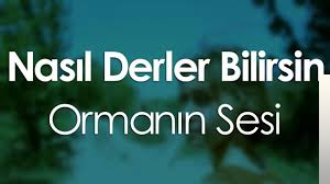 Ormanın Sesi