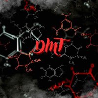 Dmt