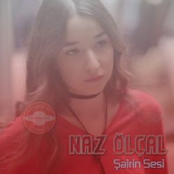 Şairin Sesi