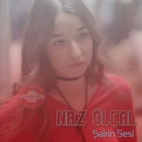 Şairin Sesi