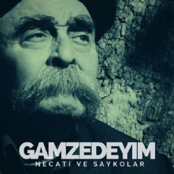 Gamzedeyim