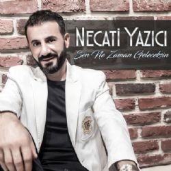 Sen Ne Zaman Geleceksin
