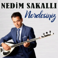 Nerdesiniz