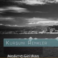 Kurşuni Renkler