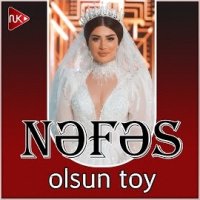 Olsun Toy