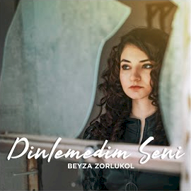 Dinlemedim Seni