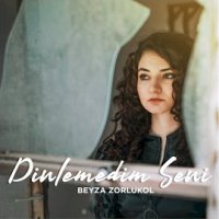Dinlemedim Seni