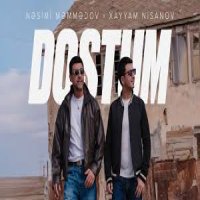 Dostum