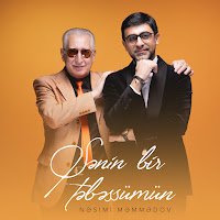 Senin Bir Tebessümün