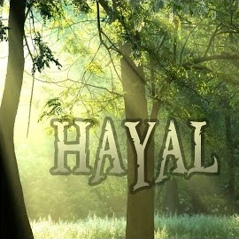 Hayal