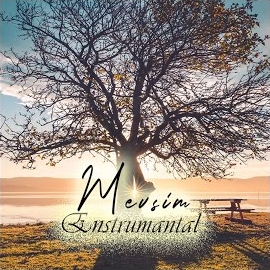 Mevsim