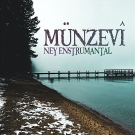 Münzevi