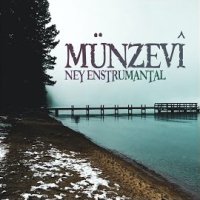 Münzevi