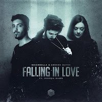 Falling In Love