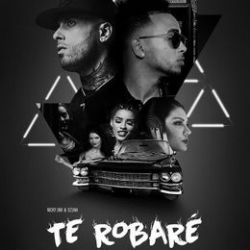 Te Robare