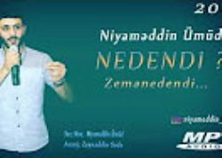 Nedendi