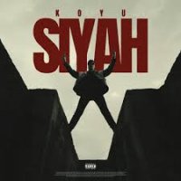 Koyu Siyah Gibi