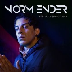 Kediler Aslan Olmaz