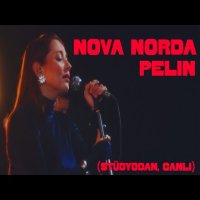 Pelin