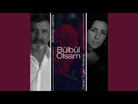 Bülbül Olsam