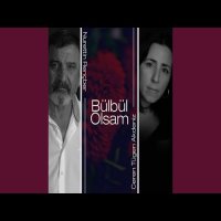 Bülbül Olsam