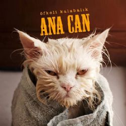 Ana Can