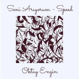 Seni Arıyorum