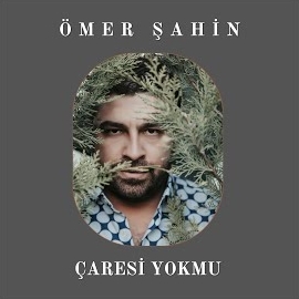 Çaresi Yokmu