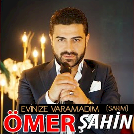 Evinize Varamadım