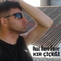Kır Çiçeği