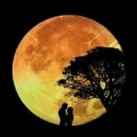More Beatiful Than The Moon