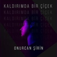 Kaldırımda Bir Çiçek