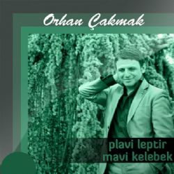 Mavi Kelebek