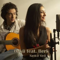 Nankör Kedi
