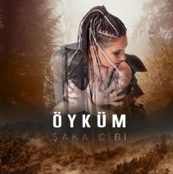 Şaka Gibi