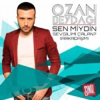 Sen Miydin Sevgilimi Çalan