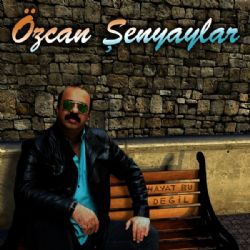 Hayat Bu Değil