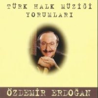Türk Halk Müziği Yorumları