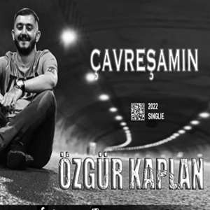 Çavreşamın