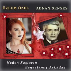Neden Saçların Beyazlamış Arkadaş