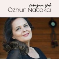 Çubuğum Yok