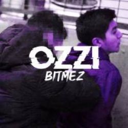 Bitmez