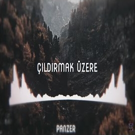 Çıldırmak Üzere