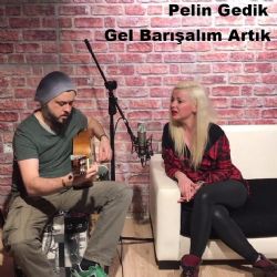 Gel Barışalım Artık