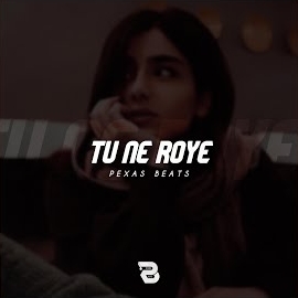 Tu Ne Roye
