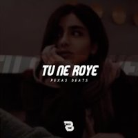Tu Ne Roye