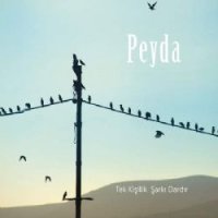 Tek Kişilik Şarkı Dardır